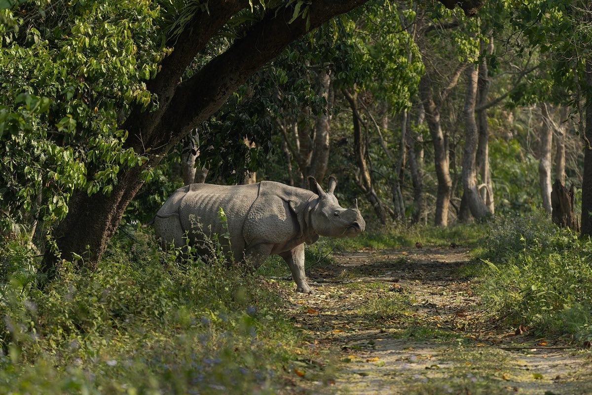 Assam