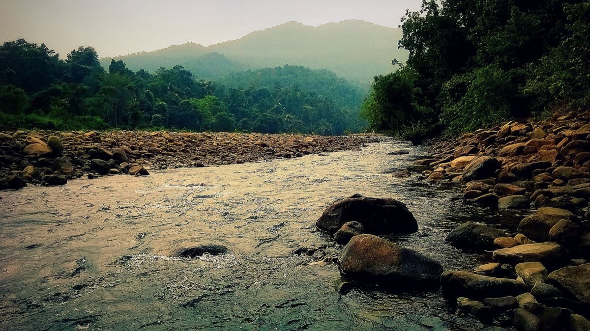 10N/11D Odisha Wildlife, Mangrove & Tribal Safari - Tigers, Crocodiles & Tribal Villages